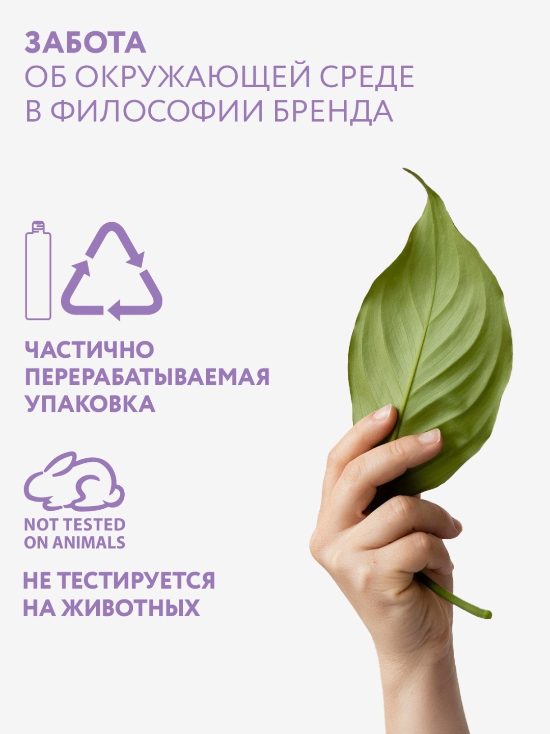 Фото 7