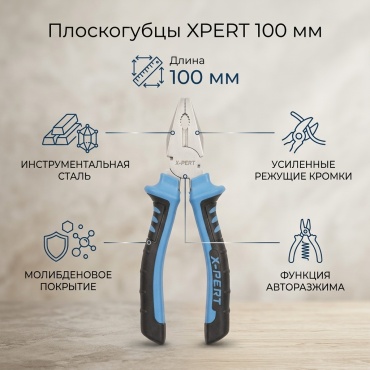 Xpert плоскогубцы 398706 100 мм