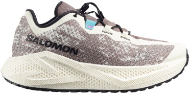 Кроссовки Salomon Aero Glide 4 Grvl бежевый