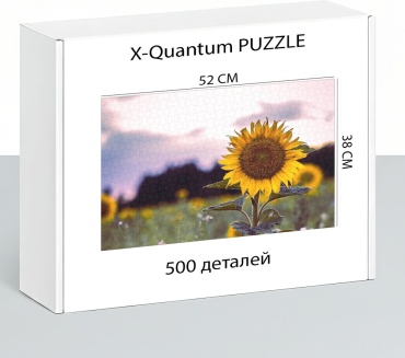 X-Quantum puzzle_1m3xh6yokp классический 500 деталей