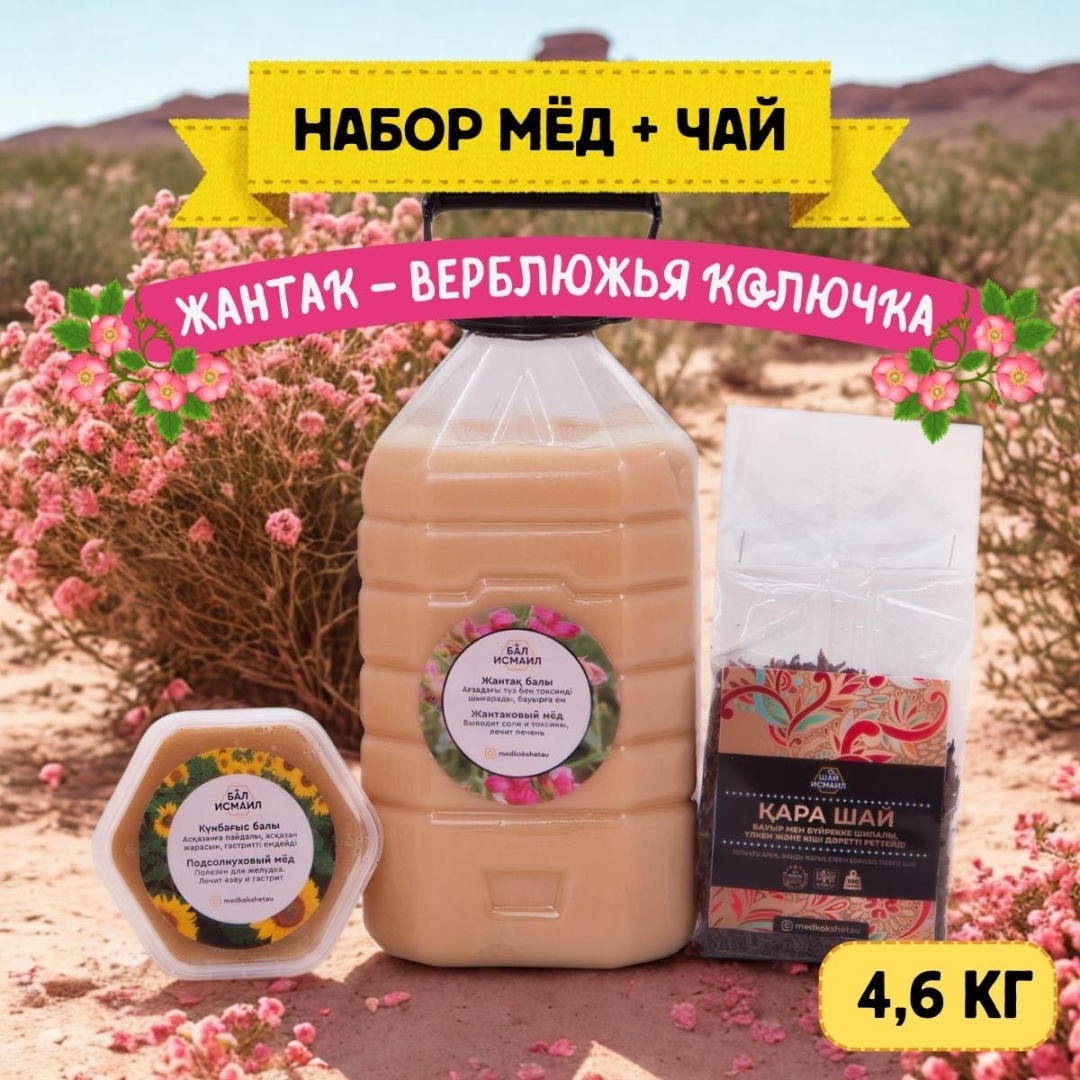 Интернетте порно көрсету