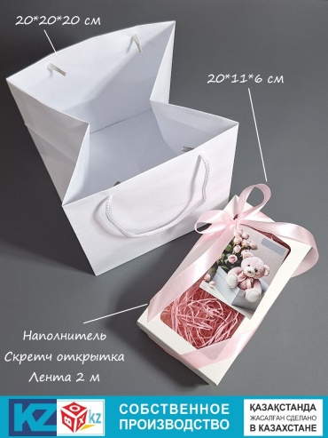 Коробка Fortress box 1 шт, 20х11х6 см
