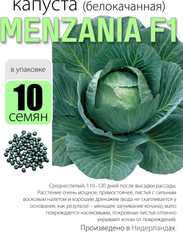 Голландские семена капуста белокачанная Menzania F1