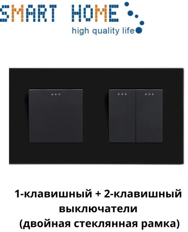 Выключатель клавишный SMART HOME MP001_MP004_M1-2F_BK, черный