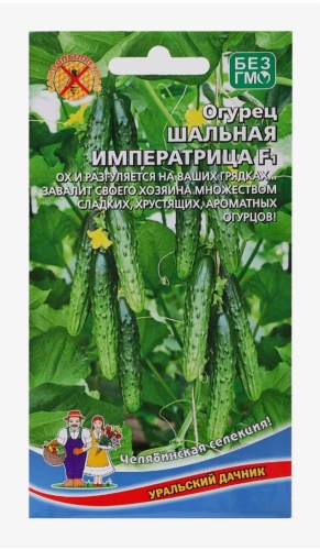 Уральский дачник огурец Шальная императрица