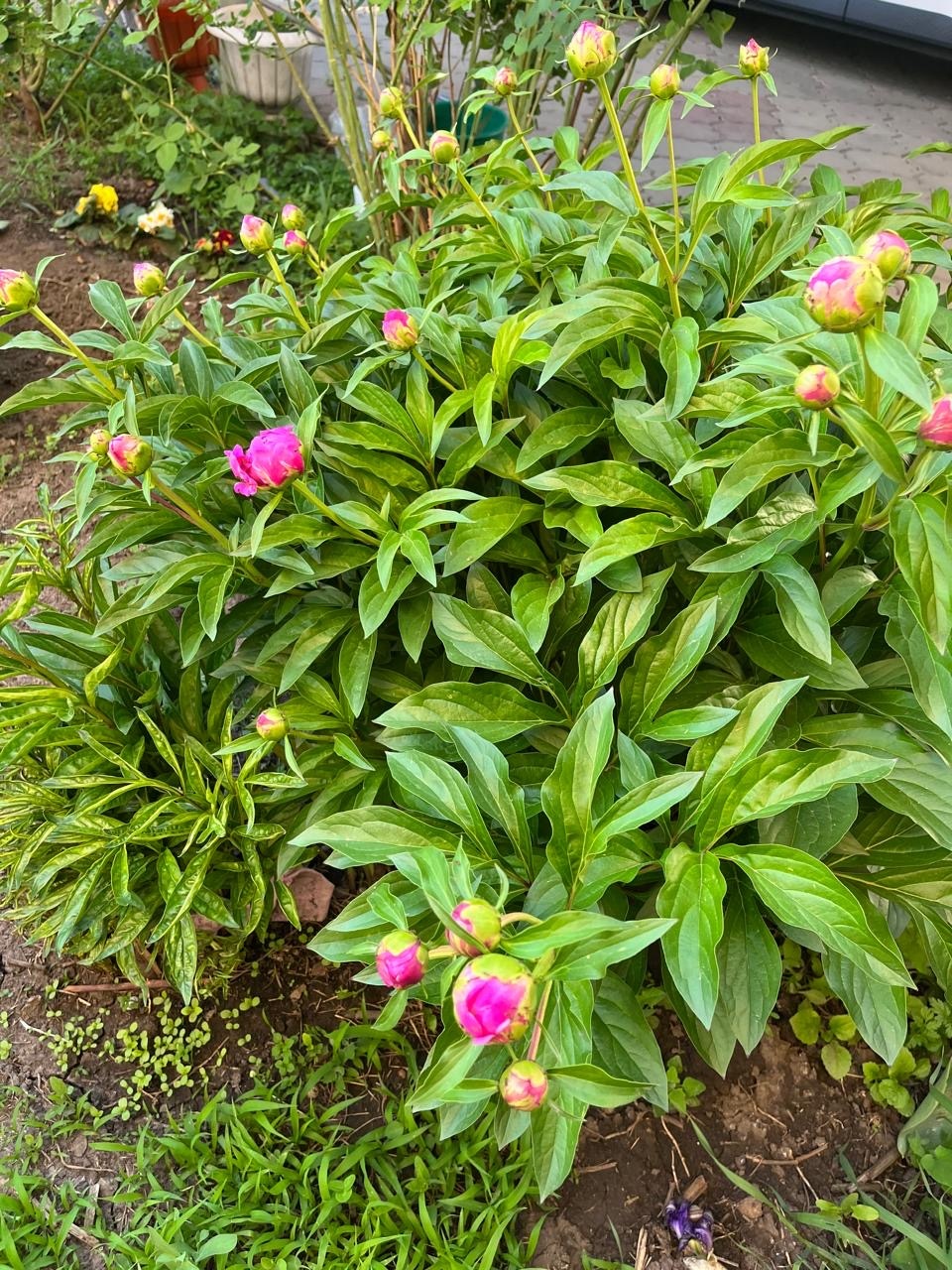 Фото 2