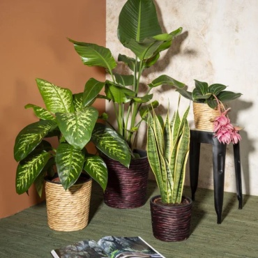 Фото 3