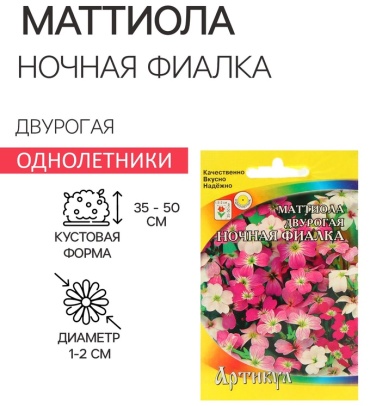 Артикул маттиола Ночная Фиалка