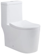 Carpe Diem унитаз-моноблок 8003, санфарфор