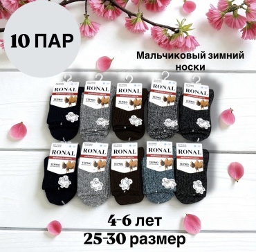 Носки SPEED WIN R3450 10 пар мультиколор 25-30