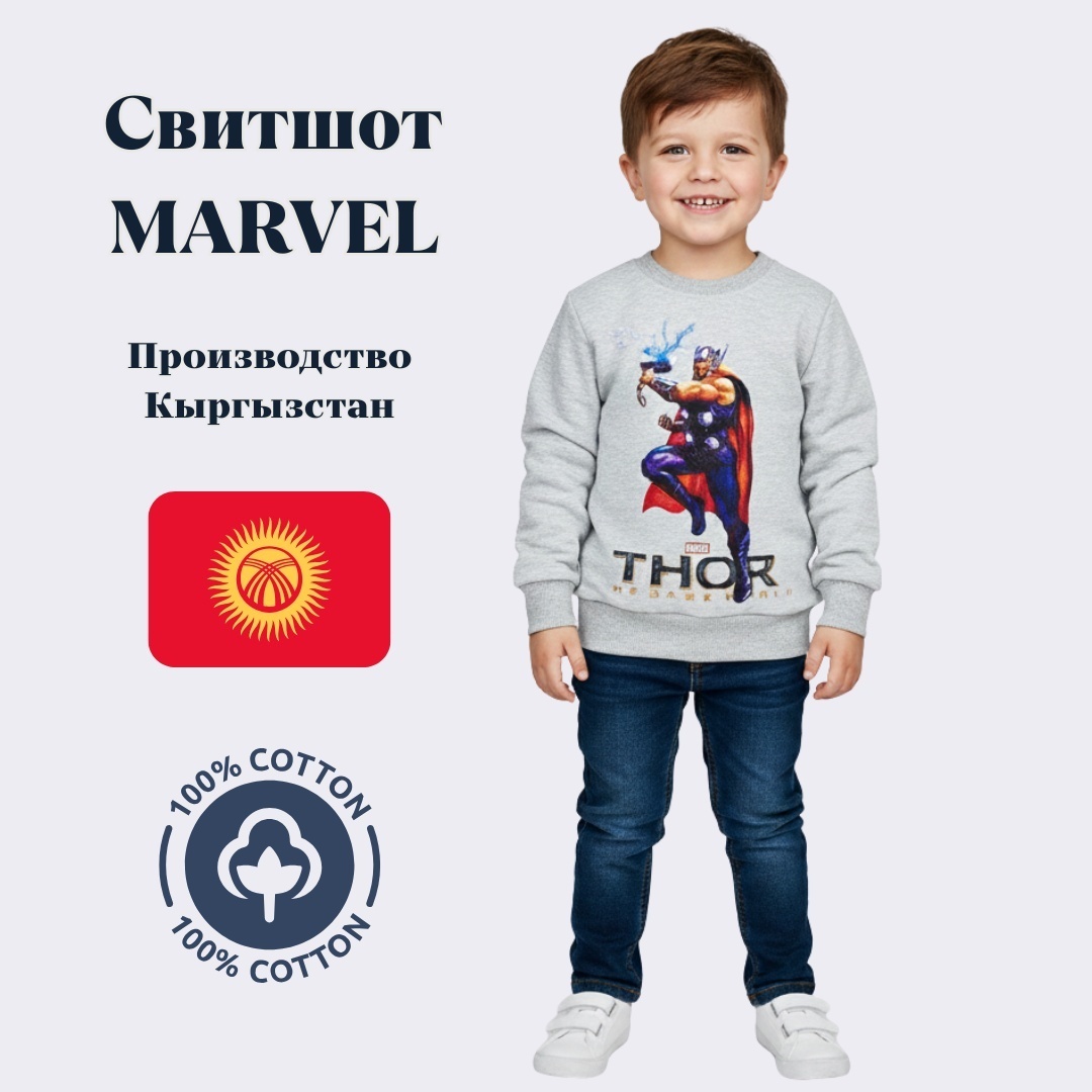 Свитшот Rasti.kz серый