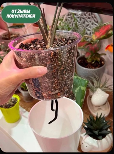 Фото 4