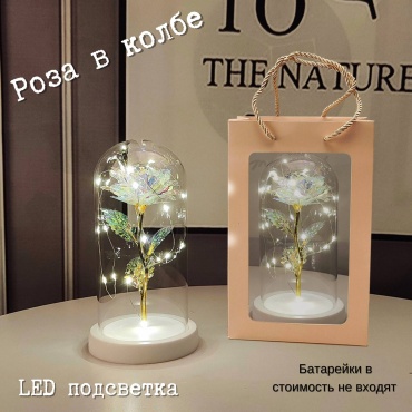 Роза S-ta 21 см
