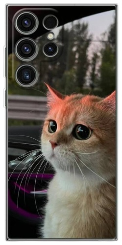 Чехол BAIKO для Samsung Galaxy S22 Ultra рисунок