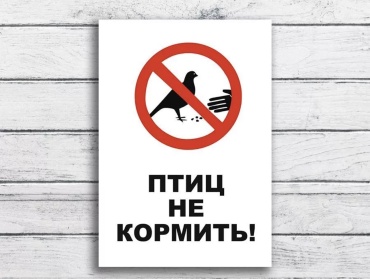 Табличка Птиц не кормить 30x20 см
