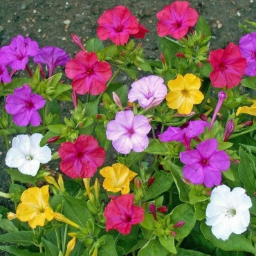 Фото 2