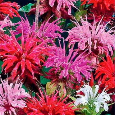 Фото 2