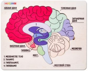 Brain up toys 8816 классический 4 деталей