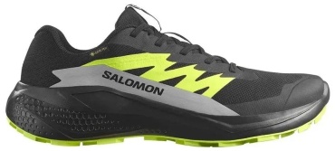 Кроссовки Salomon Alphaglide gtx черный