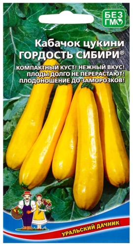 Уральский дачник кабачок Гордость Сибири