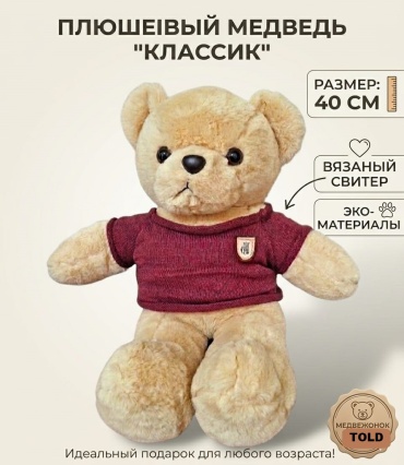 Мягкая игрушка TOLD Мишка братишка, 45 см