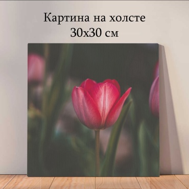 Quantum картина Растения и цветы 30x30 см