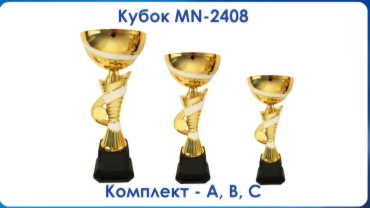 Мир наград кубок