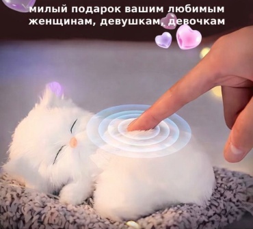 Аксессуары 2480532 белый