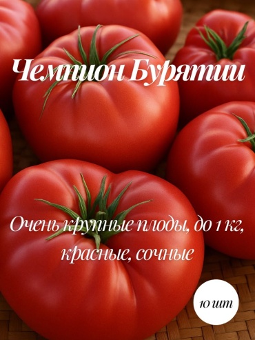 Mevsim томат Коллекционные семена Чемпион Бурятии