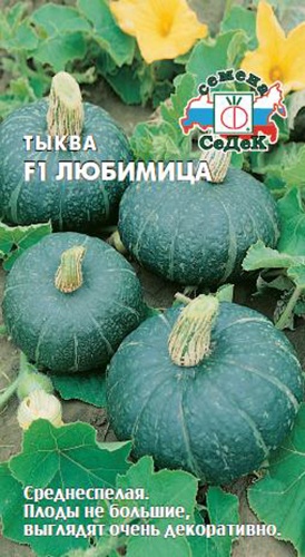 СеДеК тыква Любимица F1