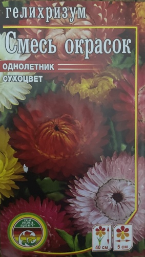 Мир семян гелихризум Смесь окрасок