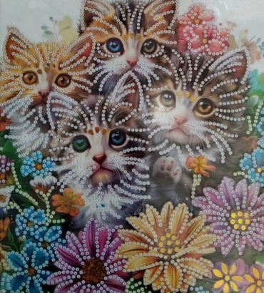 Котята алмазная мозаика