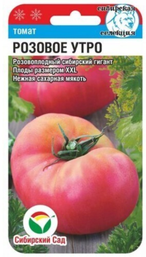 Сибирский сад томат Розовое утром