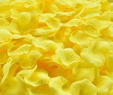 Фото 8