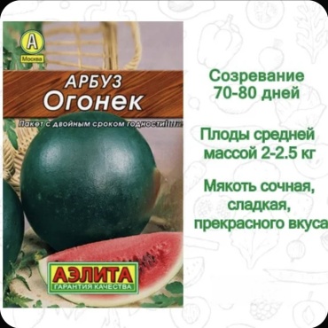 Аэлита арбуз Огонек