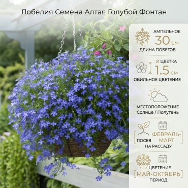 Семена Алтая лобелия Голубой Фонтан