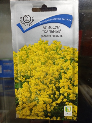 Агрохолдинг Поиск алиссум Скальный Золотая россыпь