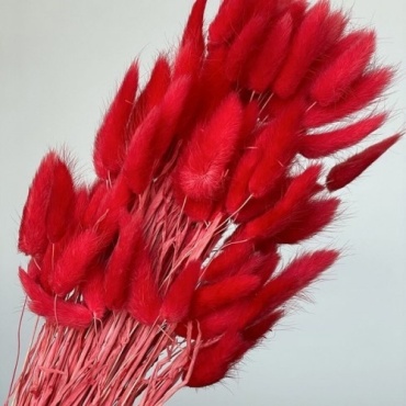 Фото 6