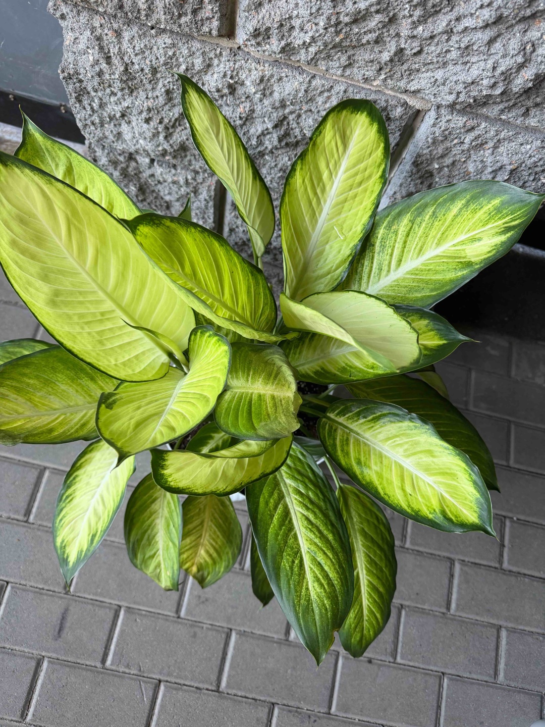 Фото 2