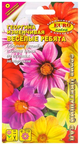Аэлита георгина «АЭЛИТА экстра»