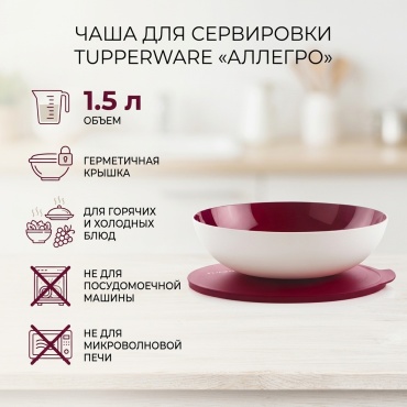Tupperware гастроемкость серия "Аллегро", полимер