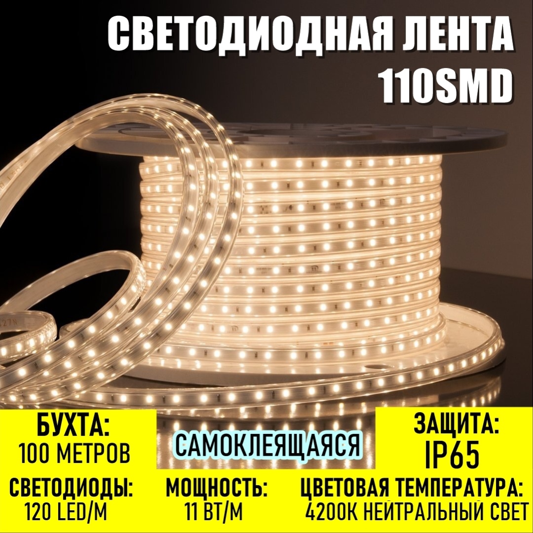 Светодиодная лента Prosvet дневной 100 м