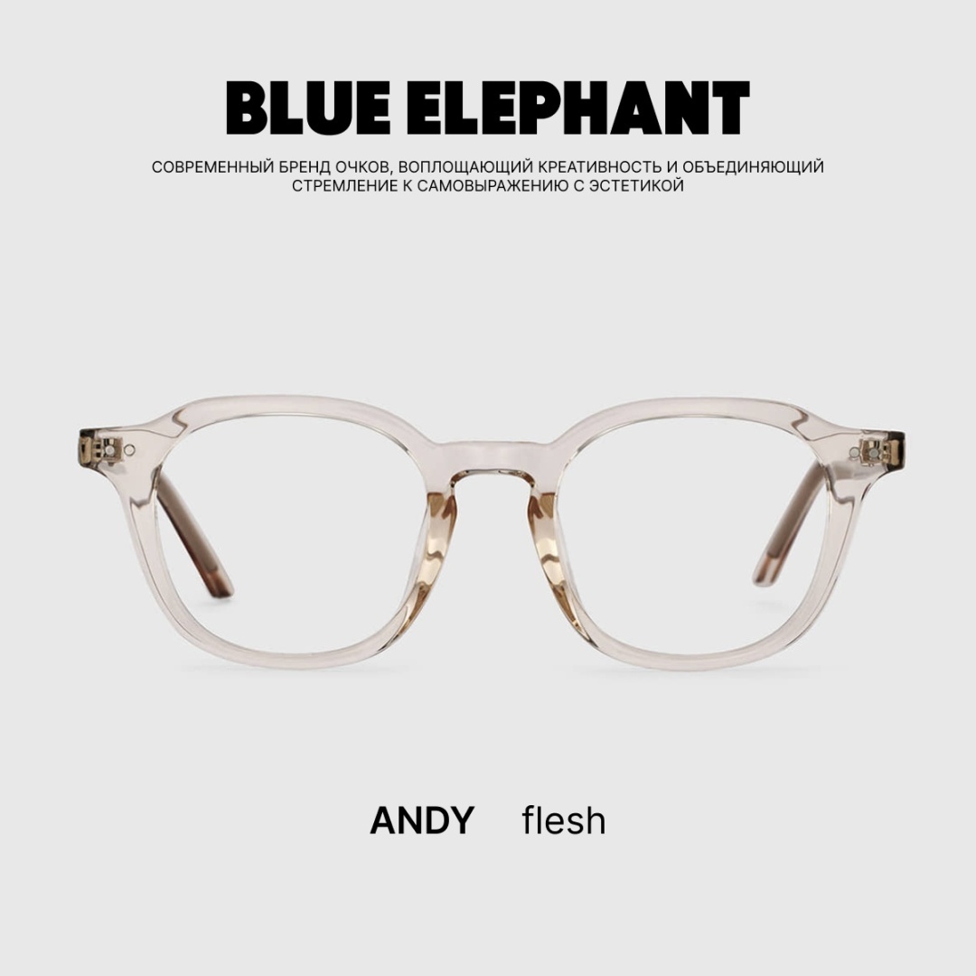 BLUE ELEPHANT очки прямоугольные однотонные