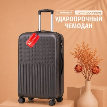 Чемодан BOTASH HOME CHD-19 полипропилен 70 л темно-серый