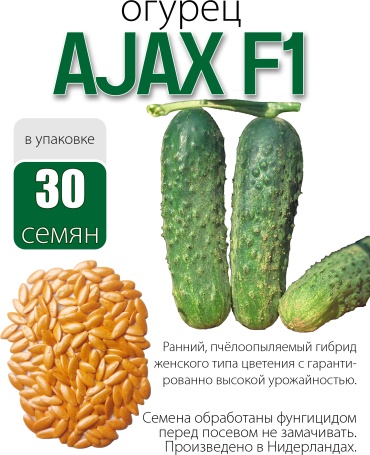 Голландские семена огурец Ajax F1