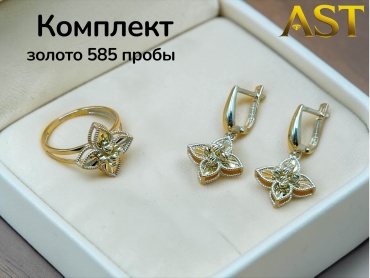 AST Комплект 2 вес 5.98 г золото, без вставок