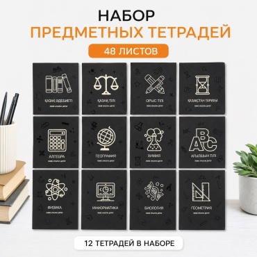 Набор предметных тетрадей 30223217_381048661, 48 л, А5, комбинированная, мягкая обложка, 12 шт