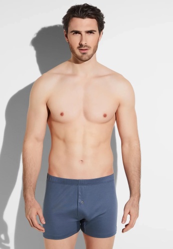 Шорты Zimmerli серый, голубой