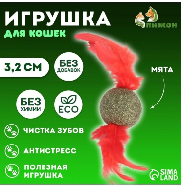Дразнилка для зубов пластик