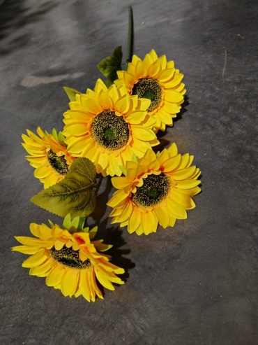 Фото 2